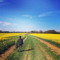 Miles Skarin (@milesskarin) 's Twitter Profile