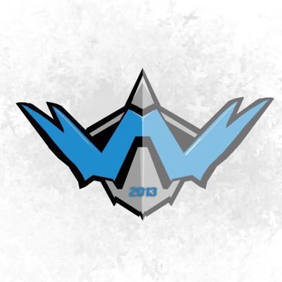 Anthology Esport organisation gaming depuis 2013 / COD / Hearthstone / FIFA /#bluegamers