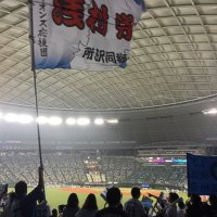 獅子好き！ (@manmamaj) Twitter profile photo