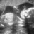 msuwigwam's profile image