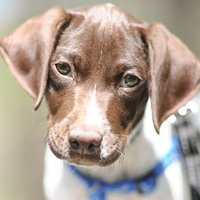 Benelli (@benisheredotcom) 's Twitter Profile