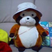 たぬぽん (@i_tanupon) 's Twitter Profile