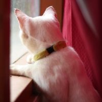 zulham dwi pratikto (@zulhamdp) 's Twitter Profile