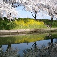 inkyo4881 (@inkyo4881) 's Twitter Profile