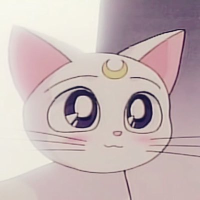 Chris (ctransformed)さんのプロフィール画像