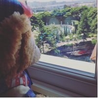 なつこ (@naa24ium) 's Twitter Profile Photo なつこ (@naa24ium) 's Twitter Profile Photo