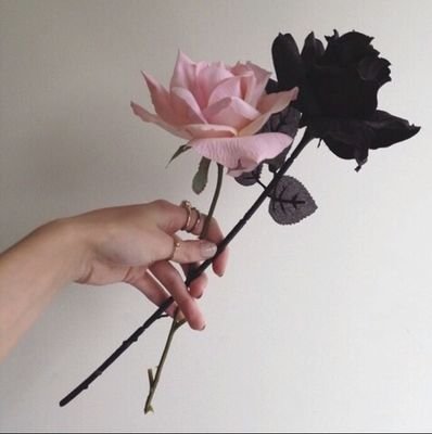 br_helenag's profile picture. "Si te dan papel rayado escribe de través"🌵