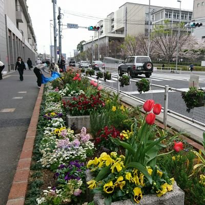 東急東横線の横浜市日吉駅、綱島街道そばにある「日吉駅前花壇 花ポケット」です。花の手入れと周辺の美化を行っているボランティア団体です。
近頃では、「港北オープンガーデン」日吉駅案内所のお手伝いもしています。
花ボランティア募集中！

#日吉
#日吉駅
#花ボランティア
#駅前花壇
#花ポケット
#日吉の街をきれいに