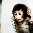 hope helton - @ilovemonkeys765 - Twitter