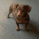 michael cody terrell - @BigRedOB - Twitter