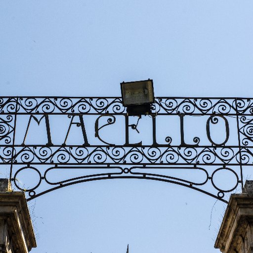 Macello_1835's profile picture. 