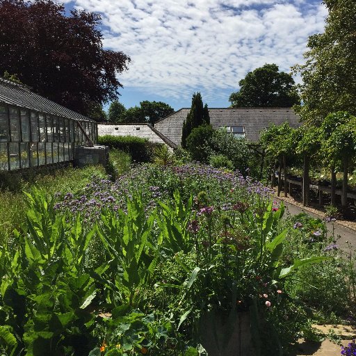 BlackthornTrust's profile picture. Blackthorn Trust Charity supports people with mental illness, chronic pain conditions and type 2 diabetes to recover, grow and develop.  #socialprescribing