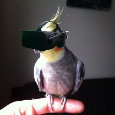 VR_Friends's profile picture. https://t.co/uqbT8CS6ri