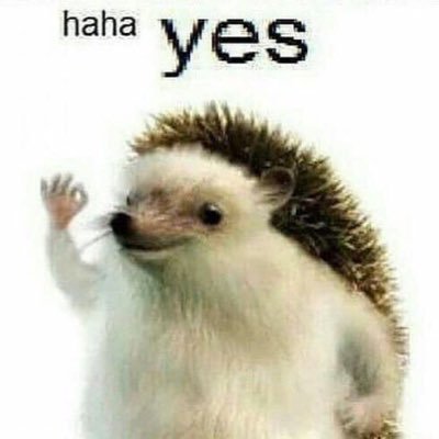 skitstoveln's profile picture. livet en dröm