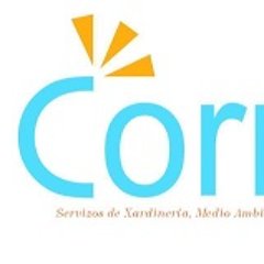 CormoIntegral's profile picture. 