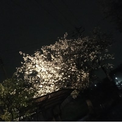 0802sorap's profile picture. 裏垢として使います