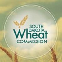 SD Wheat (@wheatsd) 's Twitter Profileg