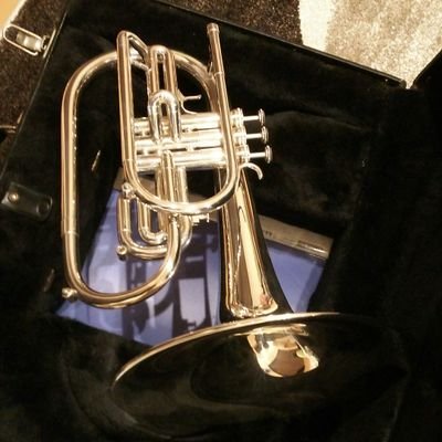 5058901dcp's profile picture. next stage.