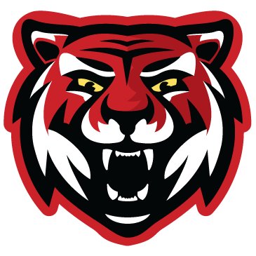 Dega City Tigers Profile
