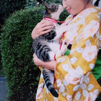 Numkang なむ (@numkangz) 's Twitter Profile