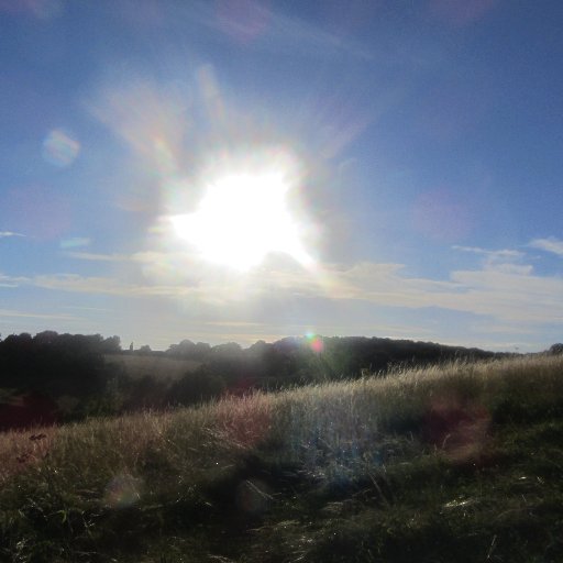 KatharineLBac's profile picture. 