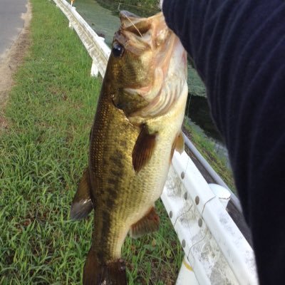 tototo90509633's profile picture. フォローおねがいします！デプス好き。