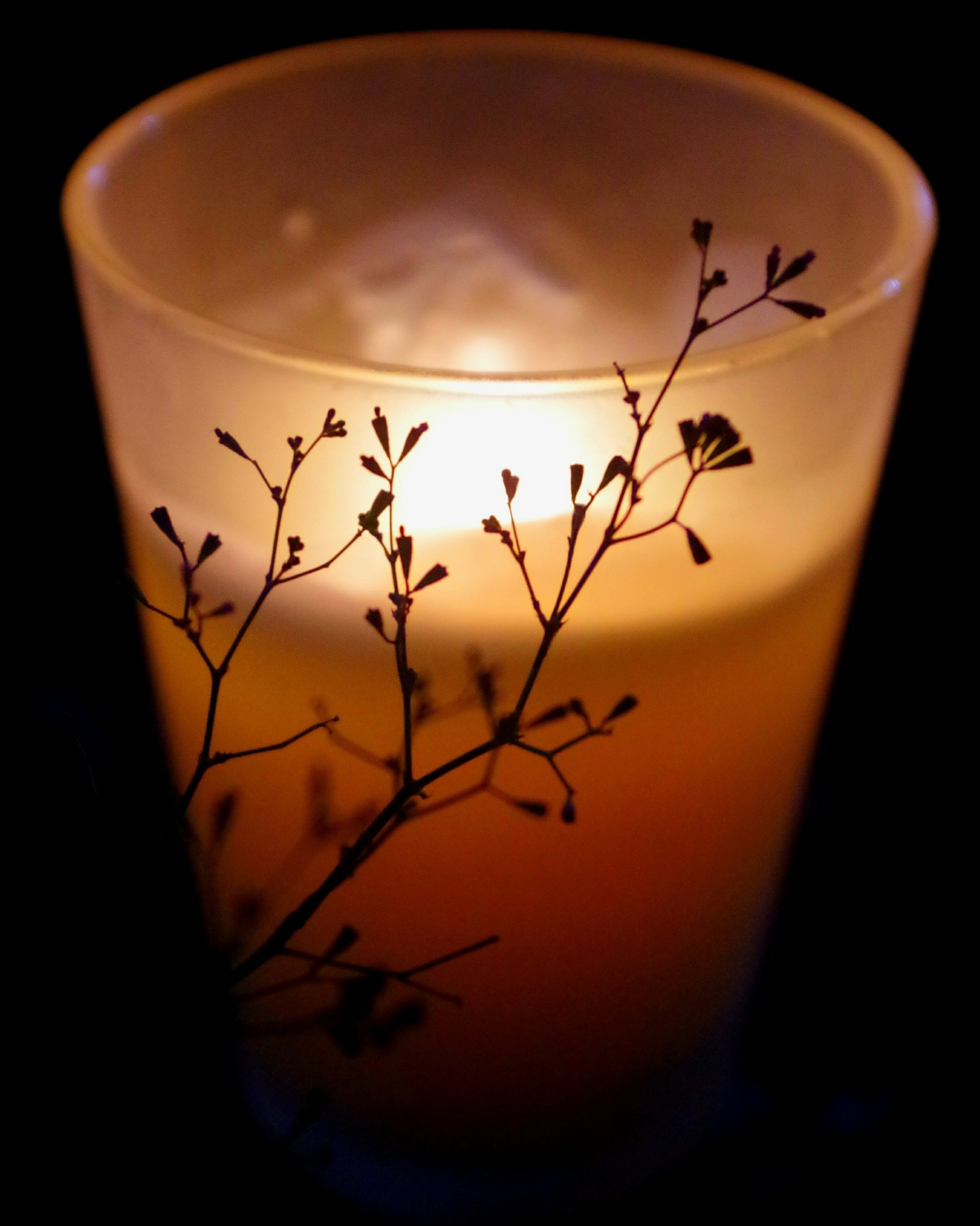 Isabellavii's profile picture. Uuuuhh....well, there's not really much to say