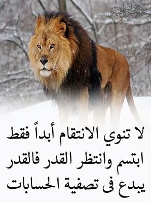 g81uPNGftCSstQF's profile picture. 