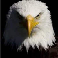 AHS_SportsMed 🦅 (@ahs_sportsmed) 's Twitter Profile