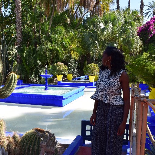 ArteExplores's profile picture. Traveller on a quest to find new places & flavours ✈️🌍🎊
