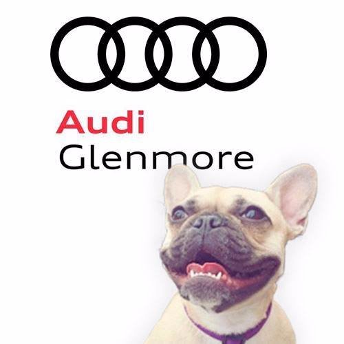 We're Calgary's number one destination for the world's number one car: Audi