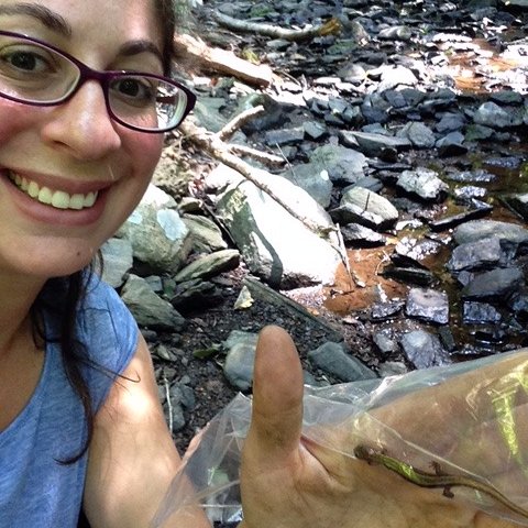 nfusco22's profile picture. PhD, BioSciences/Ecology @FordhamUniversity urban ecology & evolution of stream salamanders. Current postdoc @Yale researching gray squirrel evolution. She/her