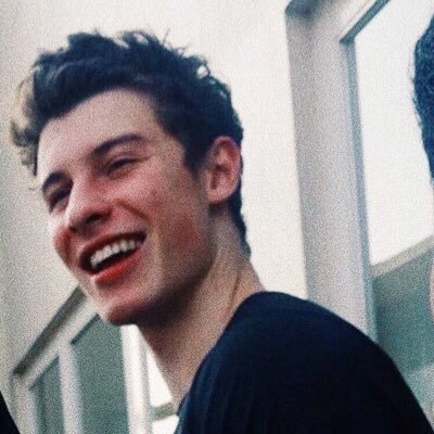 shawn mendes is all that matters ||   *  @shawnmendes is following you (someday)*