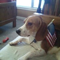 Thomas Woods (@thomasw75100666) 's Twitter Profile Photo Thomas Woods (@thomasw75100666) 's Twitter Profile Photo