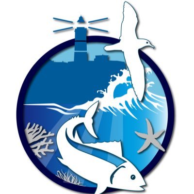 The official news feed for the Gibraltar Marine Nature Reserve, Department of the Environment, Heritage & Climate Change, HM Government of Gibraltar