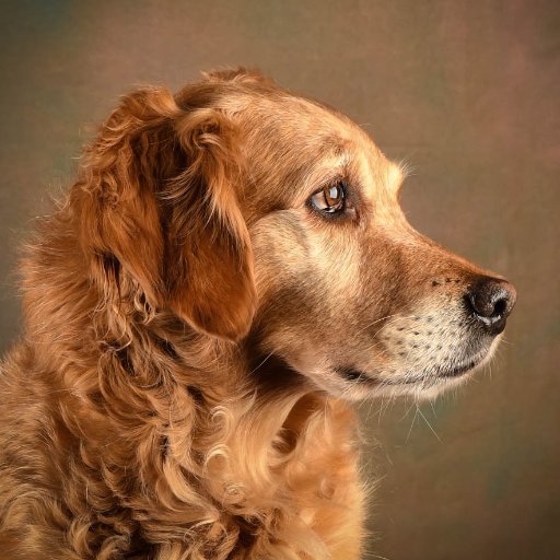 WbN_Photography's profile picture. “One Touch of Nature Makes the Whole World Kin”. I love the challenge of capturing images that brings wildlife and nature closer to us all