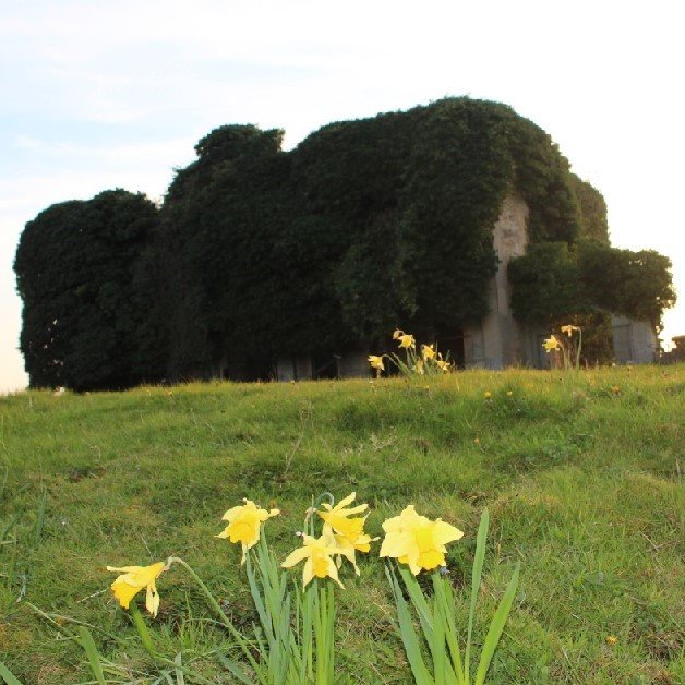 StrandhillShow's profile picture. A fun day out for all the family, we celebrated our twentieth show and craft fair on Sunday 25th June 2017.