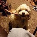 Dylan Hodges - @Whyme6963 - Twitter