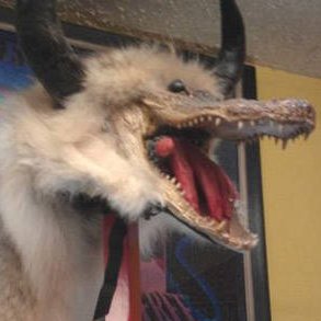 algoniq's profile picture. 