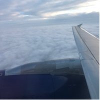 Dan Dan (@dannyairways) 's Twitter Profile