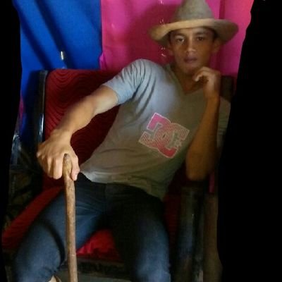 AlexiCardozo3's profile picture. 