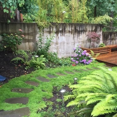 educator_mc's profile picture. educator, animal friend, 🌞scorpion. dedicated mask wearer. Fan of the Oxford comma. I know Joe. I stand with MVP.