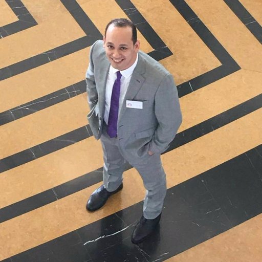 Deliver courses materials from Egyptian Banking Institute approved curriculum and develops daily training plans to include instructional aids, motivates clients