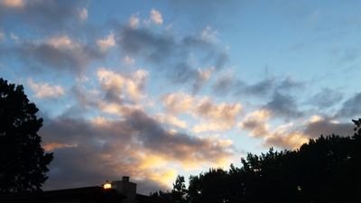 bhushan_08's profile picture. 