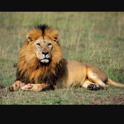 starz64's profile picture. This world has gone crazy!