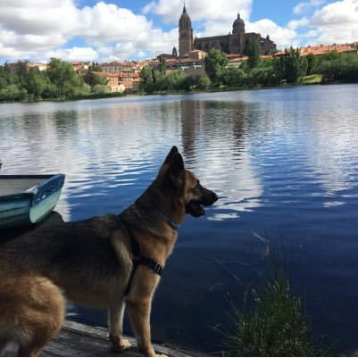 Cashlos's profile picture. ........