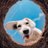 deardeer01's profile image
