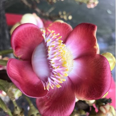 gerard_tommy's profile image