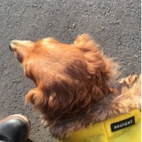 マックラ (@mmmacchan75) 's Twitter Profile
