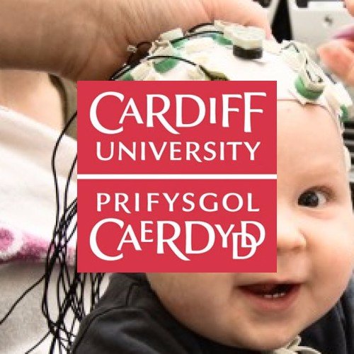 At Tiny To Tots - Cardiff University, we study how babies, toddlers and children develop socially, cognitively and learn all about the world around them.